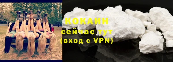 не бодяженный Заводоуковск