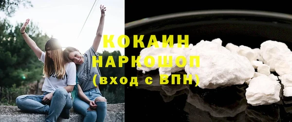 сатива Заволжье
