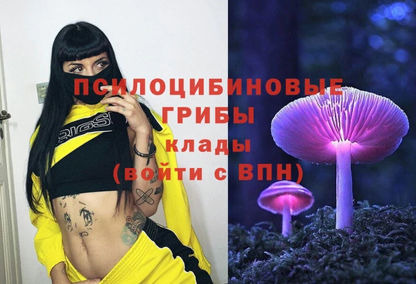 сатива Заволжье