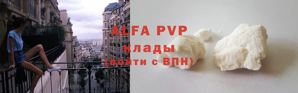 сатива Заволжье