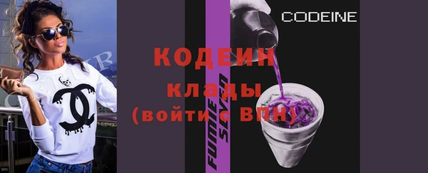 не бодяженный Заводоуковск