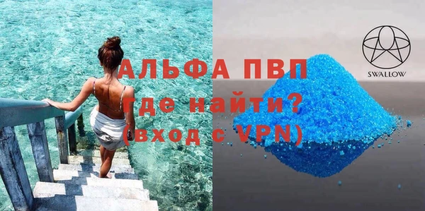 сатива Заволжье