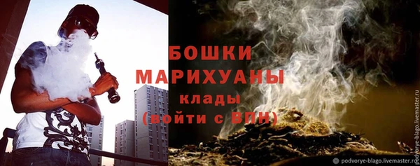 не бодяженный Заводоуковск