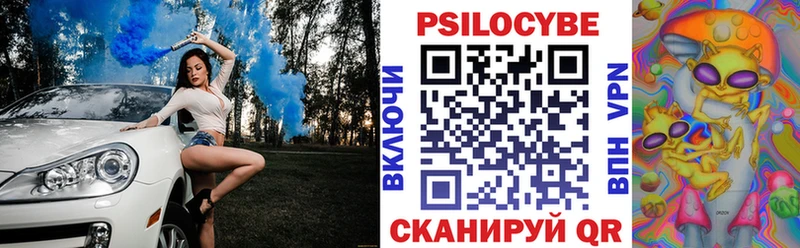 Купить Дыгулыбгей Галлюциногенные грибы мицелий